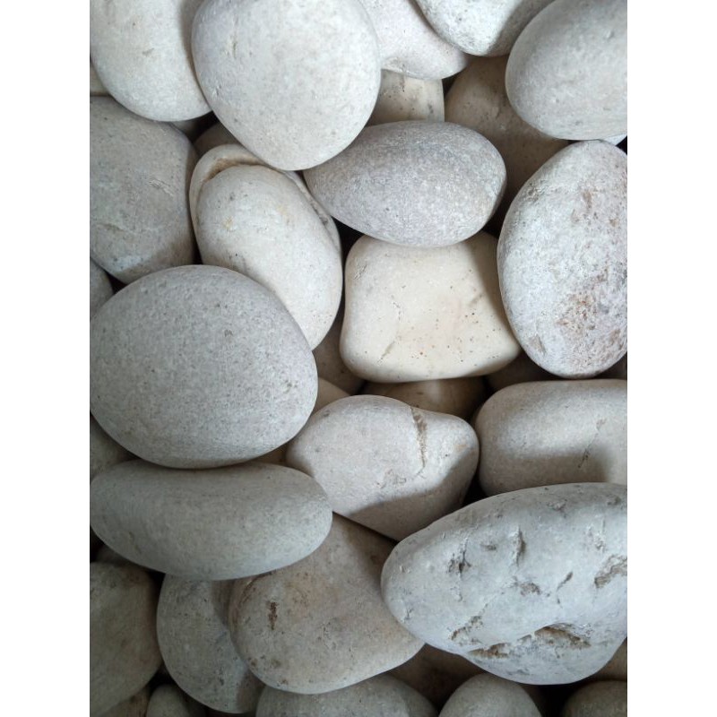 batu koral / batu tanaman hias / 500gram