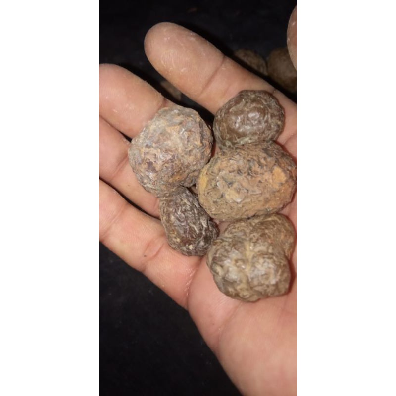 batu selonatah asli temuan