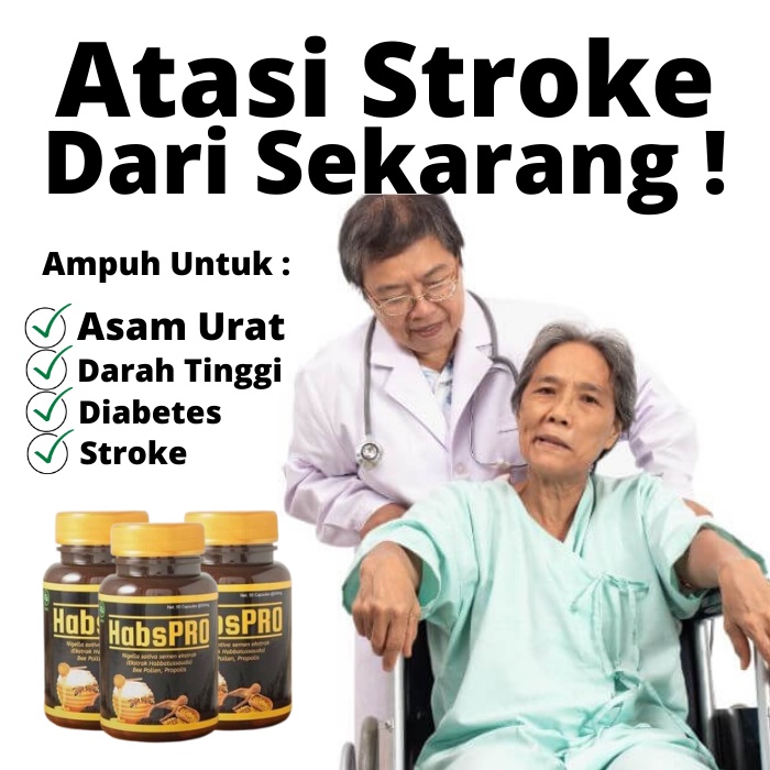 Obat Stroke - Obat Herbal Stroke, Herbal, Habspro