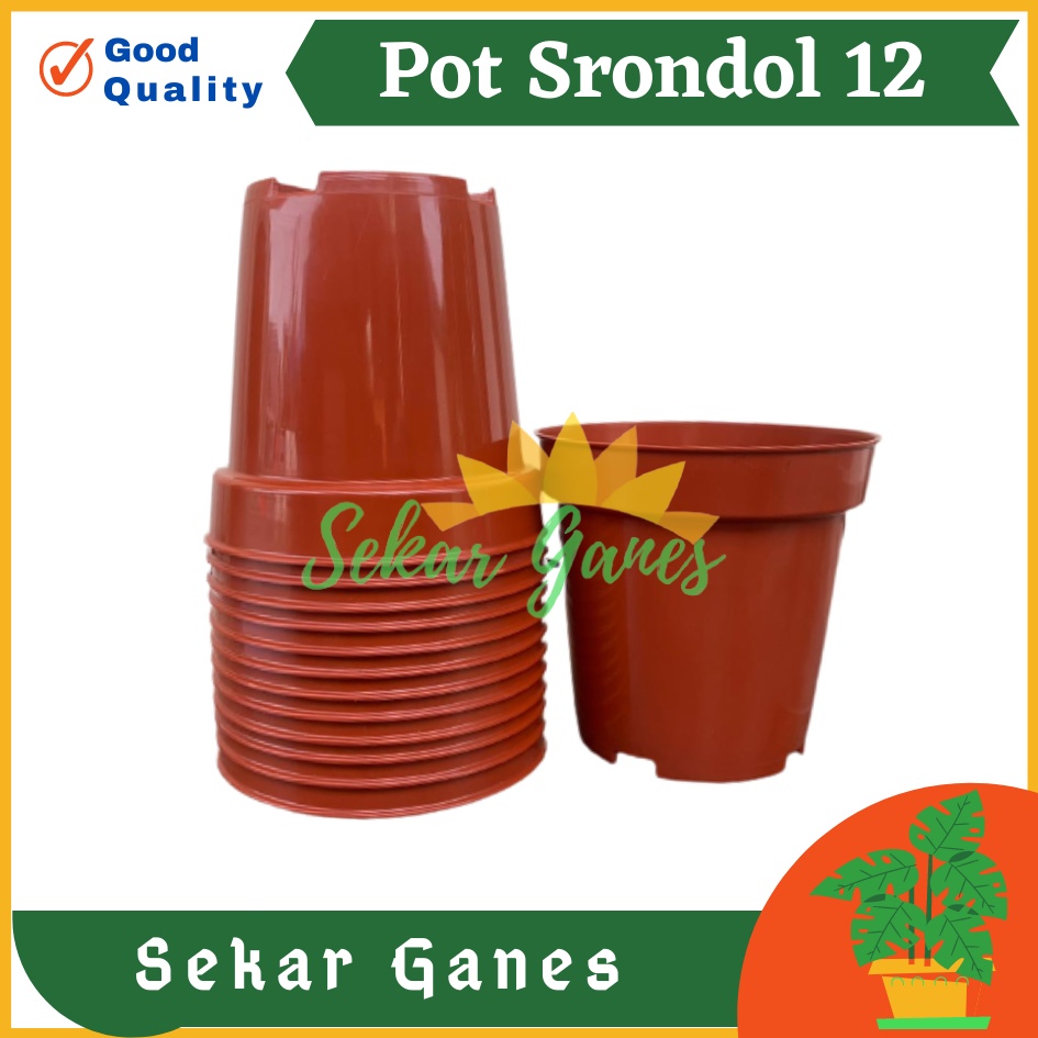 Pot Tinggi Srondol 12 Merah BataTerracota Coklat - Pot Tinggi Usa Effiel 18 20 25 Lusinan Pot Tinggi Tirus 15 18 20 30 35 40 50 Cm Paket murah isi 1 lusin pot tanaman Pot Bibit Besar Mini Kecil Pot Srondol Pot Bunga Termurah