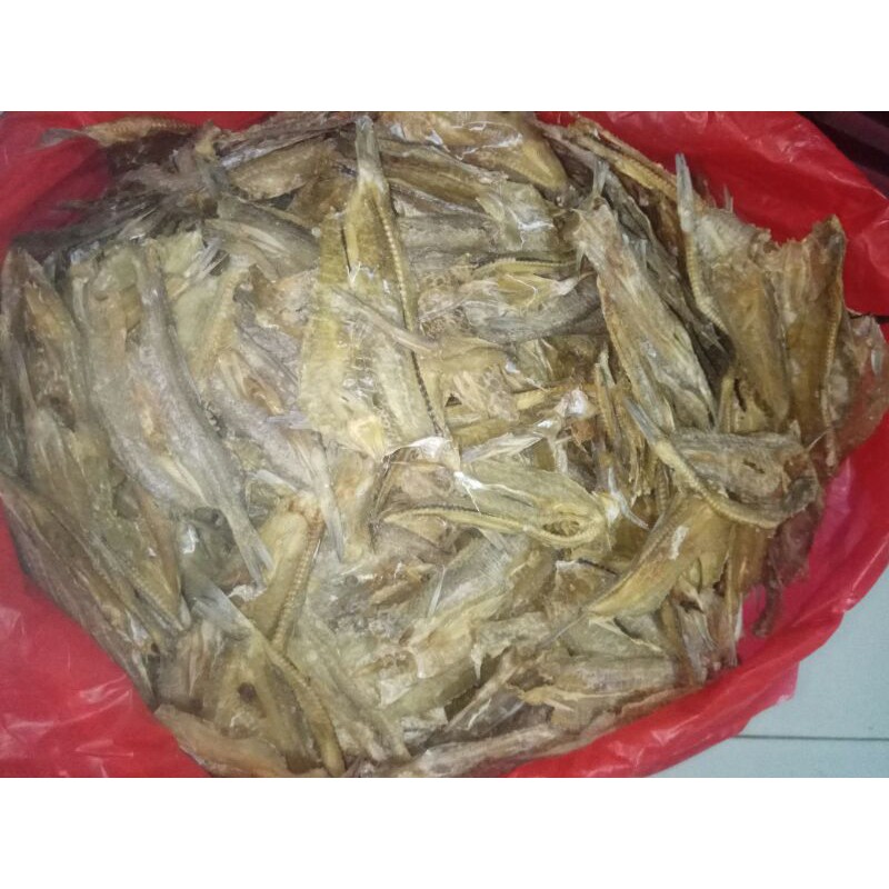 

Bloso tawar