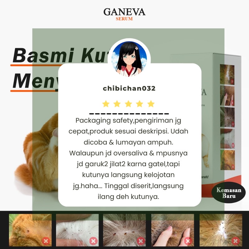 Ganeva Serum Anti Kutu Kucing (Ganeva Serum)