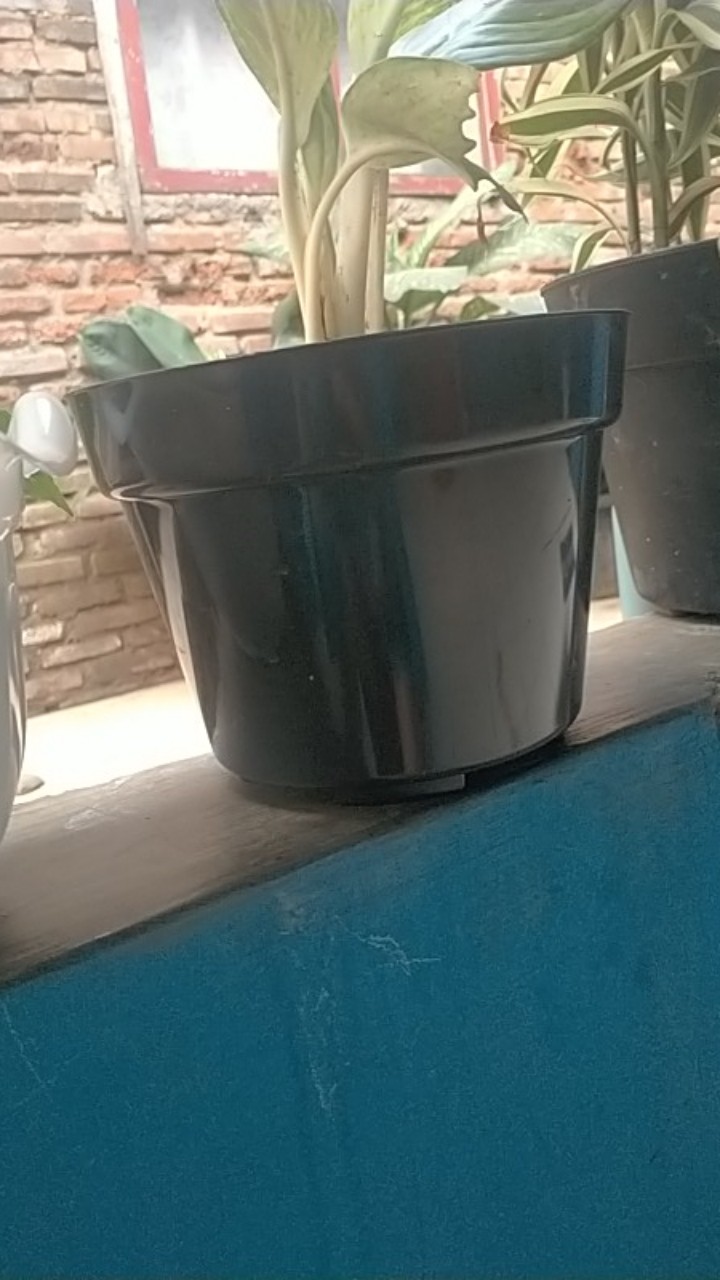Filter Udara Kompresor Sdp