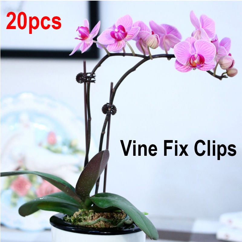 【Theredsunrisesiwy.id】20pcs Plant Support Clips Garden Clips Flower Orchid Stem Clips Vine Support