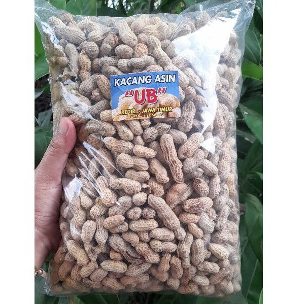 

Kacang Kulit Asin UB (1Kg) dan (5Kg)