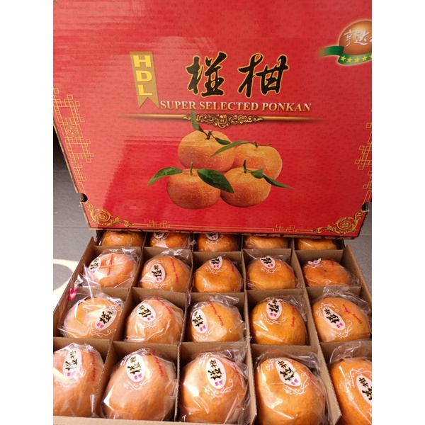 

Jeruk Ponkam Super HDL (Isi :40) Fresh Import
