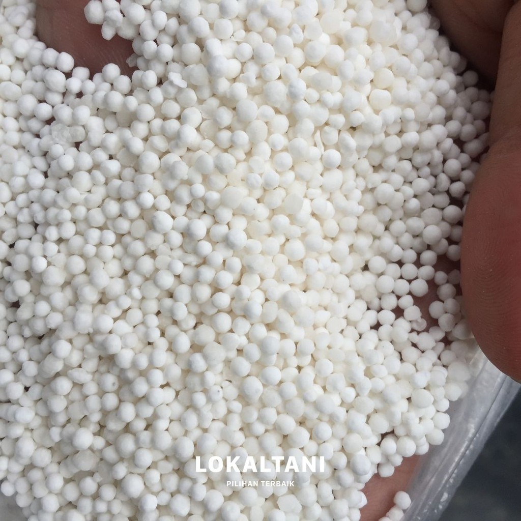

Sagu Mutiara Thailand 1kg Repack/ Sagu Mutiara dari Thailand Asli