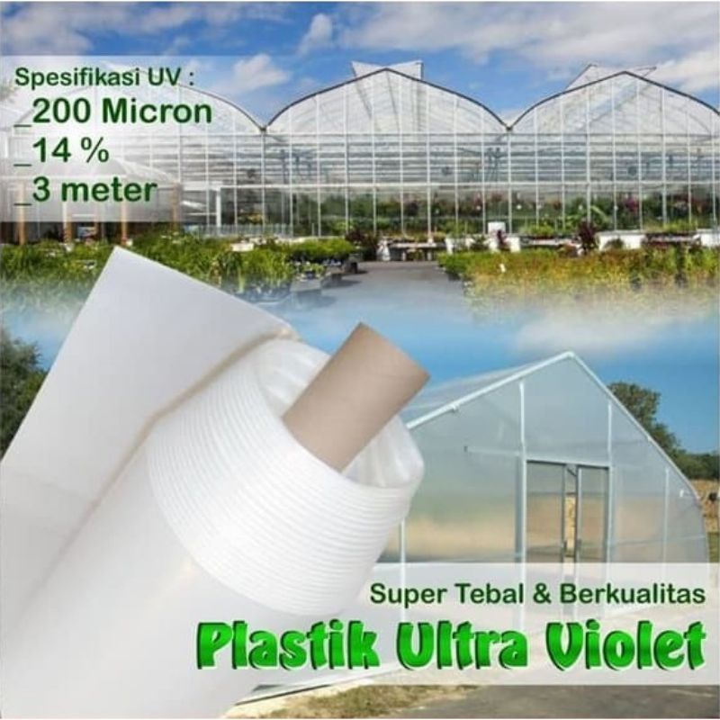 Plastik UV Lebar 4 x Panjang 12 Meter Ketebalan 200 Micron