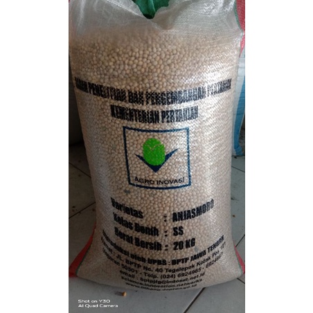 GROSIIR 1KG BENIH KACANG KEDELAI VARIETAS ANJASMORO