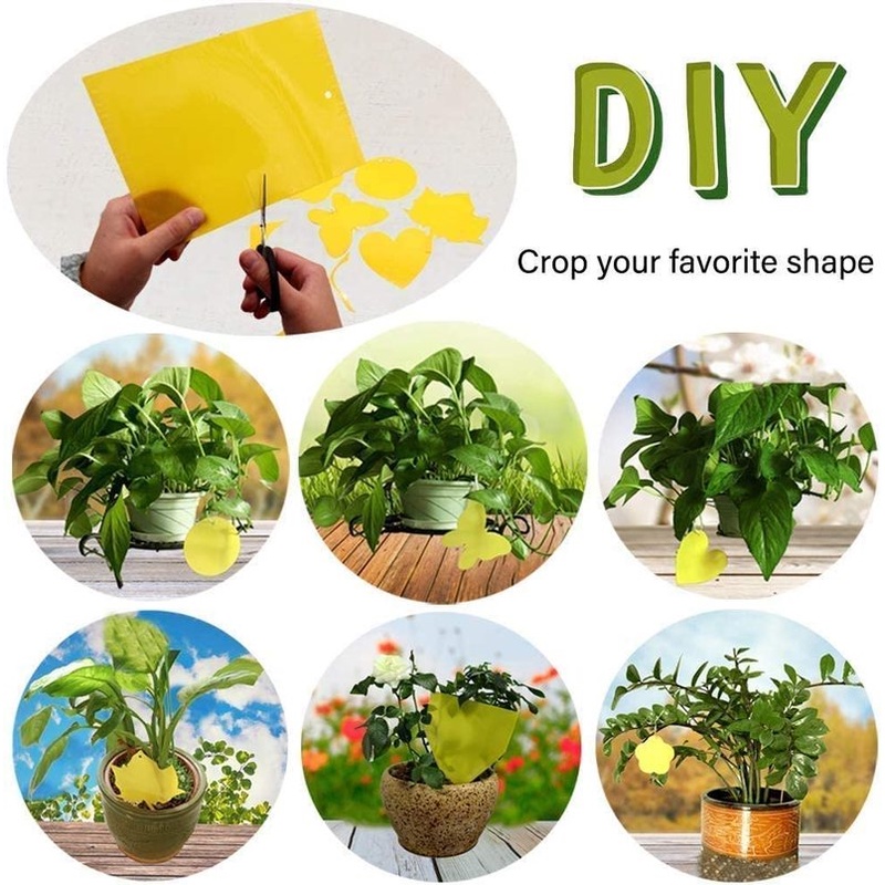 10pcs Dual-Sided Yellow Sticky Traps for Flying Plant Insect Such as Fungus Gnats, Whiteflies, Aphids, Leafminers,Thrips