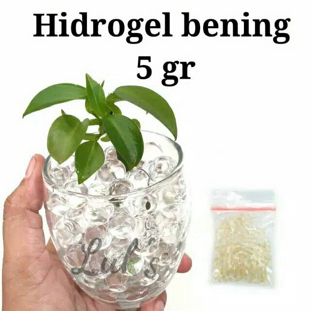 HIDROGEL BENING 5 gr - CLEAR  HIDROGEL - MEDIA TANAM HIDROGEL - WATERBEADS