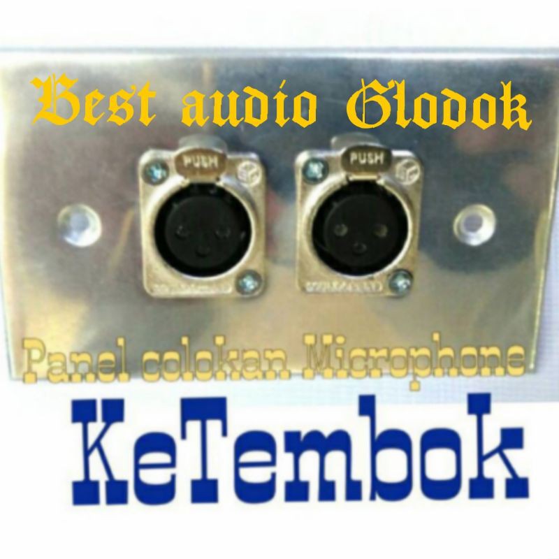 Input sambungan Microphone tanam ketembok