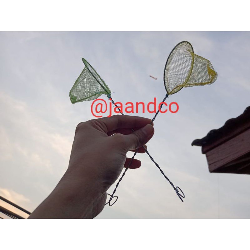 serokan kecil seser cupang ikan kecil