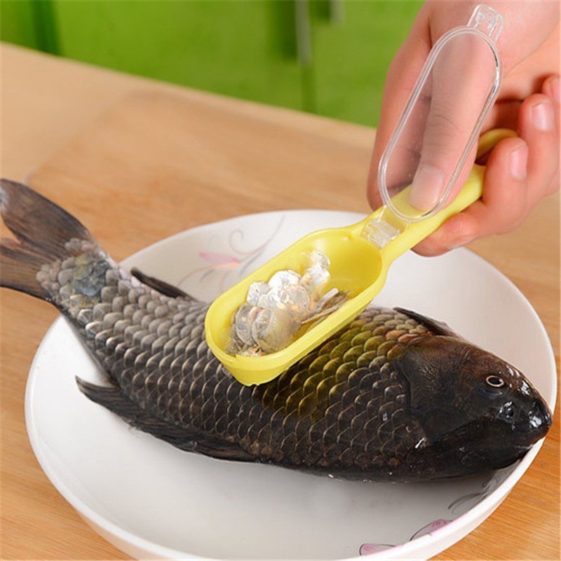 ALAT PEMBERSIH SISIK IKAN PEMBERSIH SISIK IKAN