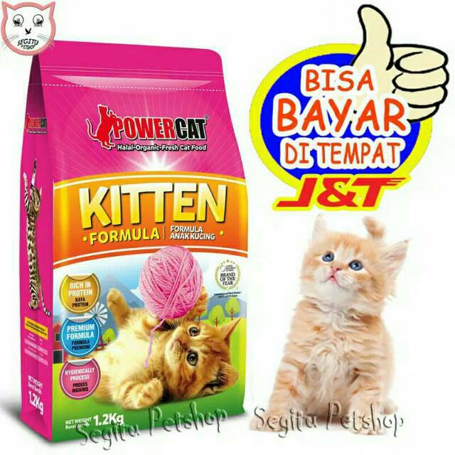 Makanan Kucing Anak Kucing Power Cat Kitten Shopee Indonesia