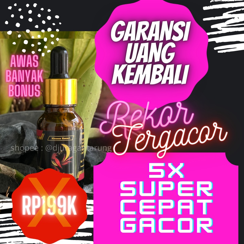 Vitamin Murai Batu,Vitamin Murai Batu Terbaik,Vitamin Murai Gacor,Vitamin Murai Batu,Vitamin Murai B