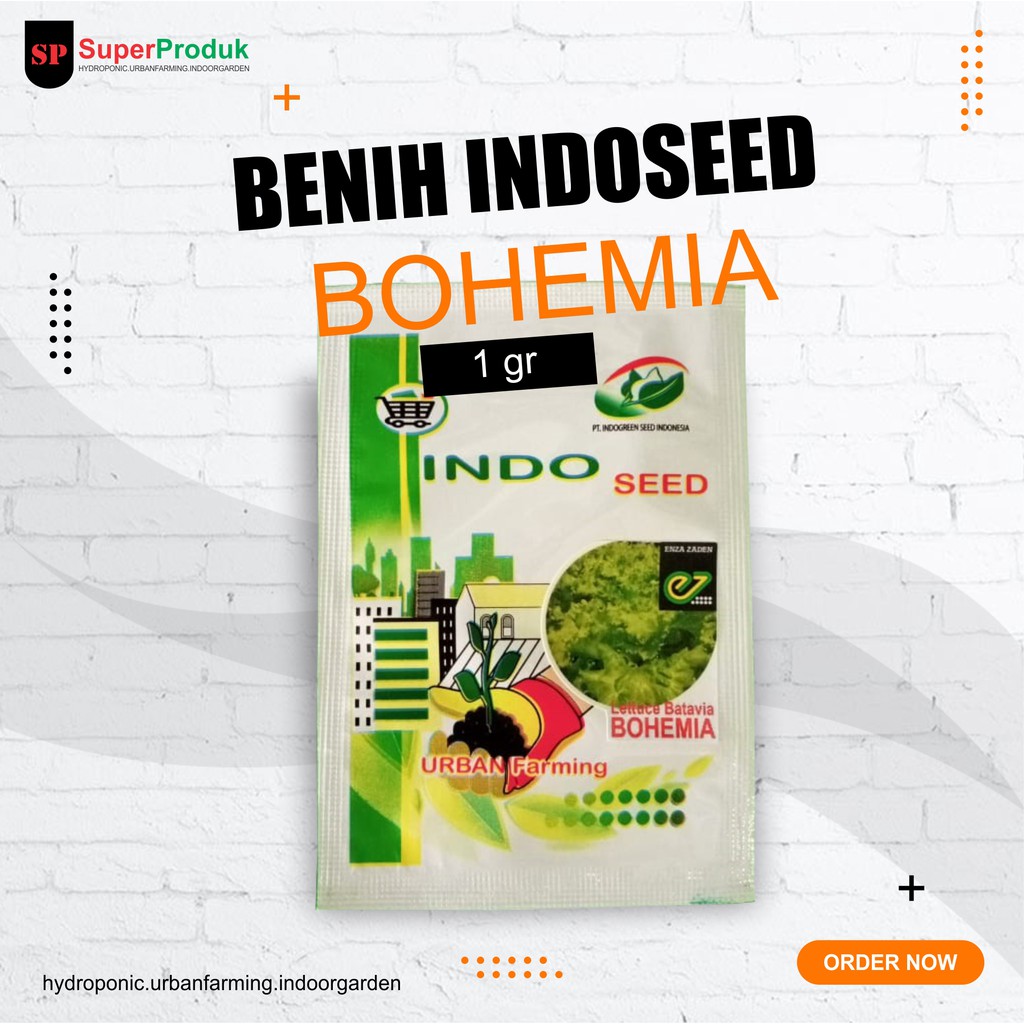 Benih Selada Bohemia Lettuce Bohemia 1gr original packing
