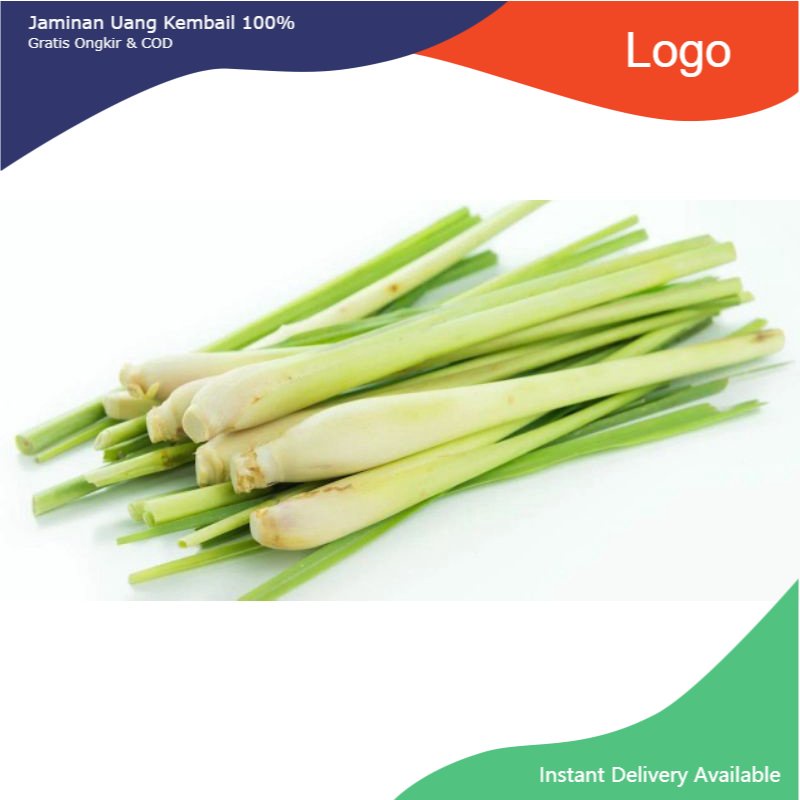 

Promo 500gr Serai bumbu fresh