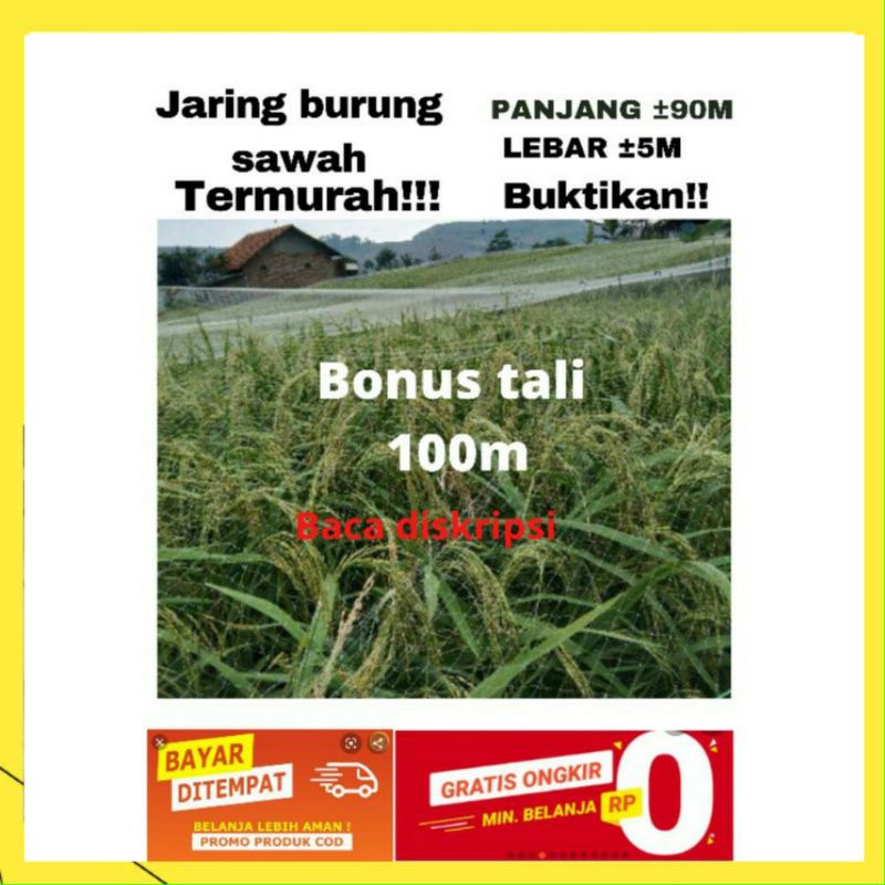 JARING BURUNG JARING PADI JARING EMPRIT JARING SAWAH JEBAKAN Burung