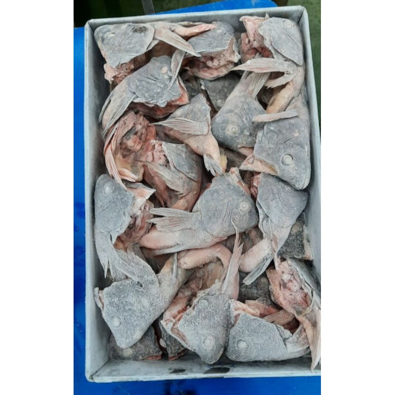 

KEPALA IKAN TILAPIA/15KG FRESH/PROMO