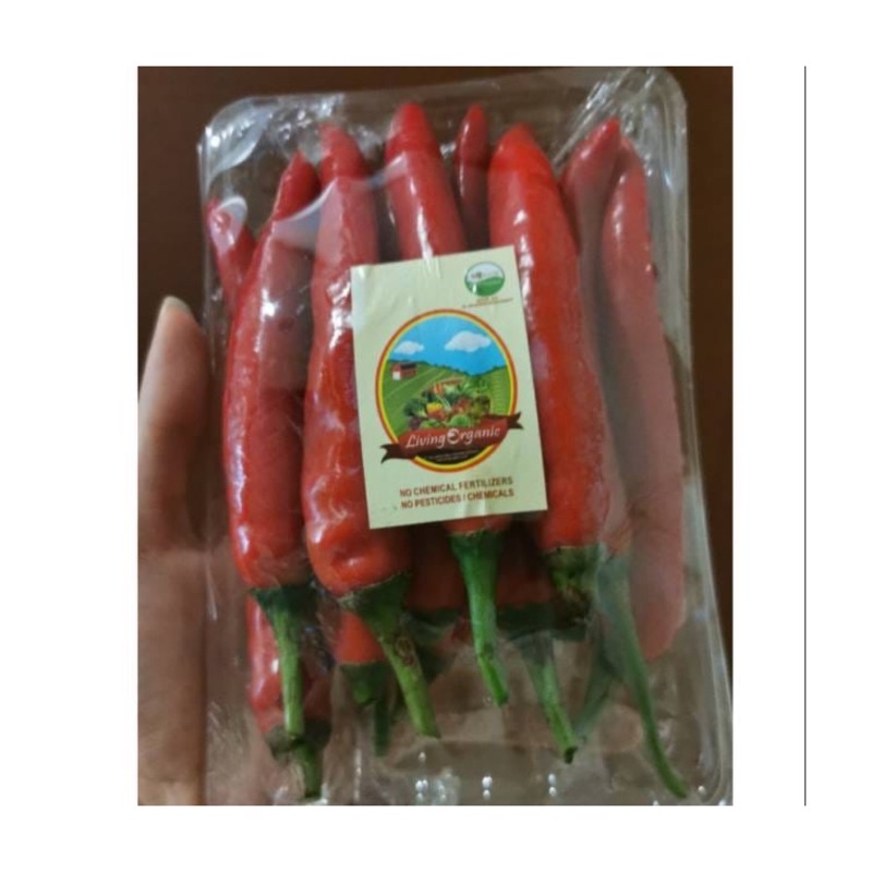 

Cabe Merah Besar || 200 gr || Sayuran Organik