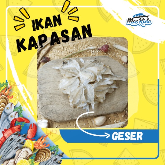 

Kapasan/ Kapas Tawar