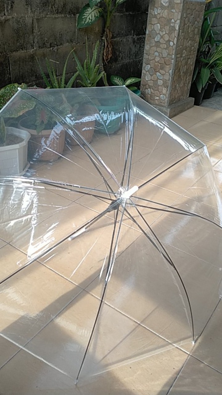 Payung Transparan Bening Umbrella Transparant Korea Japan Best Quality