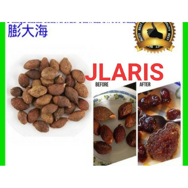 

malva nut / pat ta hai / tempayang buah semangkuk 100g