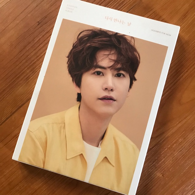 Kyuhyun (Goodbye for now & Gwanghwamun)