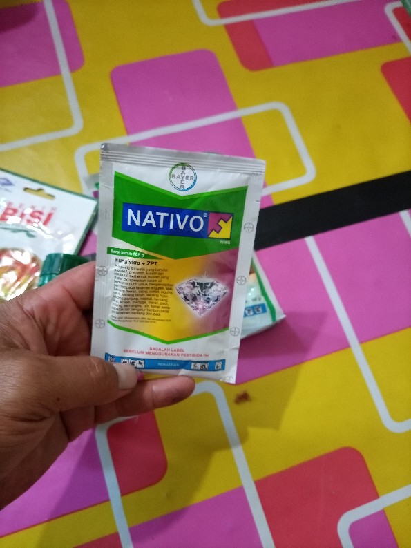 Fungisida Dan Zpt Nativo 75 Wg - 12,5 Gram