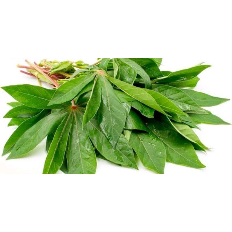 

Daun singkong per 500gr