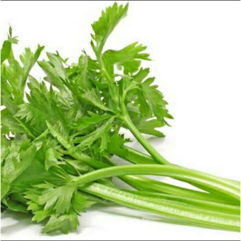 

Daun Seledri Segar. (250gr)