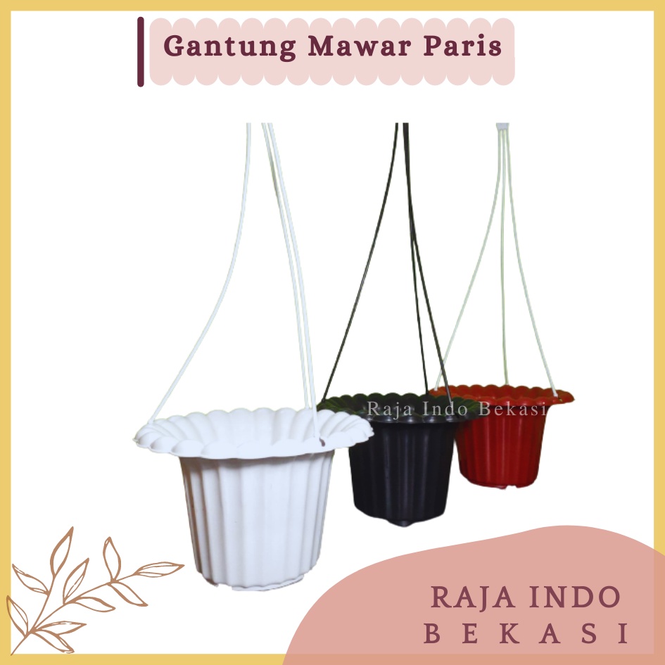 RAJAINDOBEKASI Pot Gantung Mawar Paris 20 Cm Putih Hitam Coklat Merah Bata Pot Gantung Plastik Lion Star Dinding Putih Murah Unik Sabut Kelapa