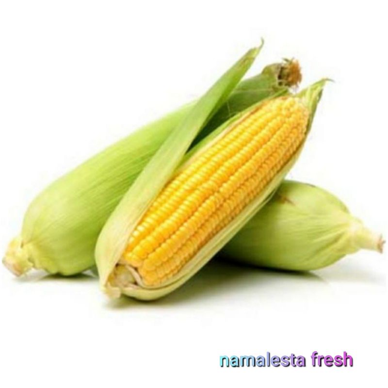 

JagungManis-isi2buah-namafresh