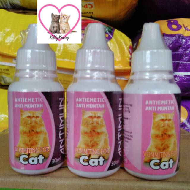 Obat Muntah Untuk Kucing ANTIMUN