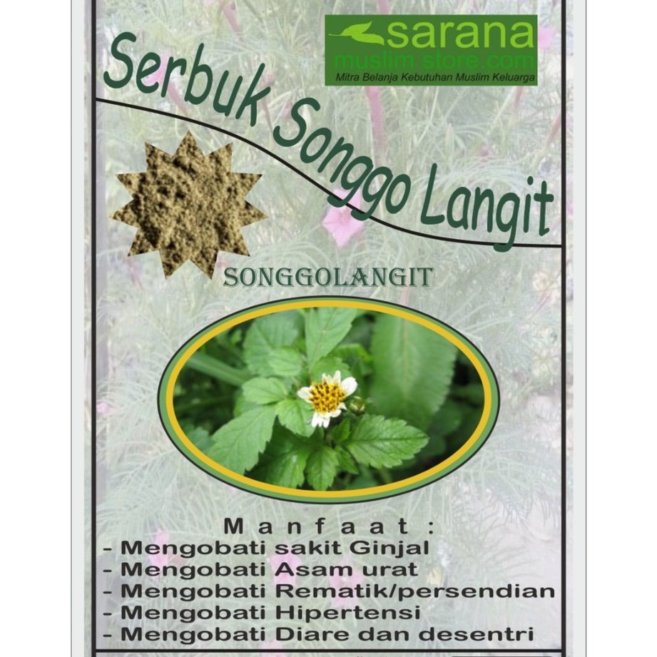 

Serbuk Bubuk Songgolangit Asli Kemasan 500 gram Atasi Berbagai Penyakit