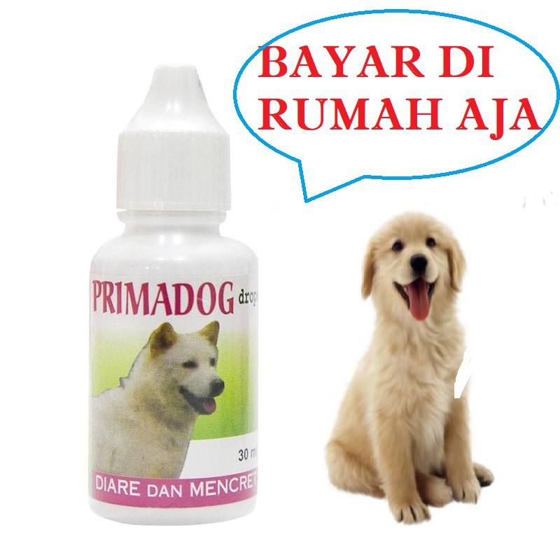 OBAT ANJING MURAH PRIMADOG DROP SAKIT MENCRET DIARE AMPUH