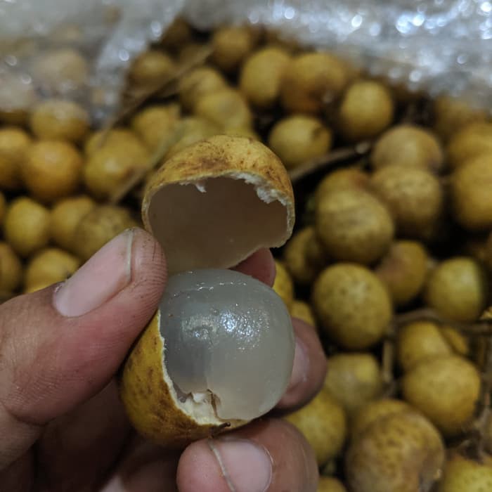 

Buah Kelengkeng perkilo(1Kg)