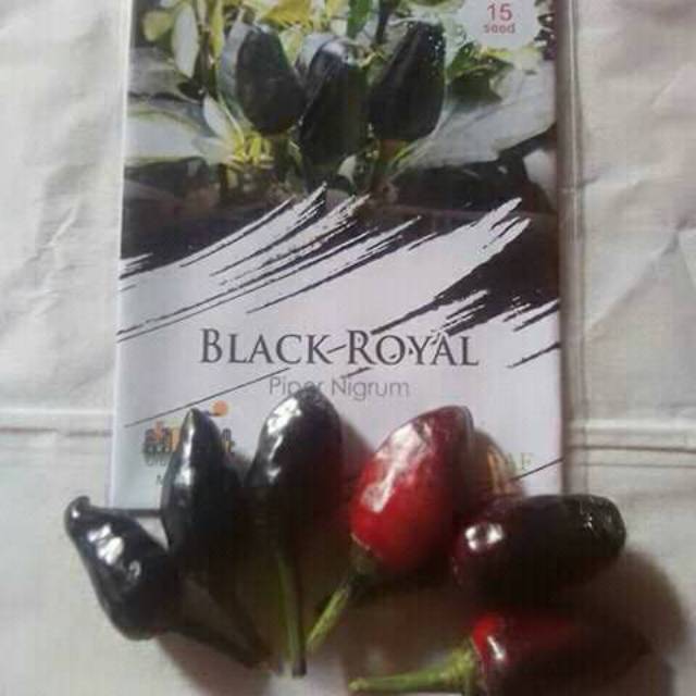 cabe hias unik f1 BLACK ROYAL pepper