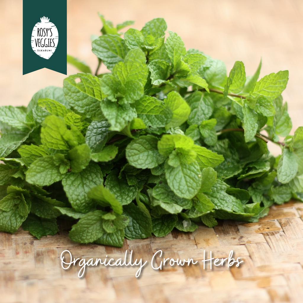 

Daun Mint Organik | 50 gr