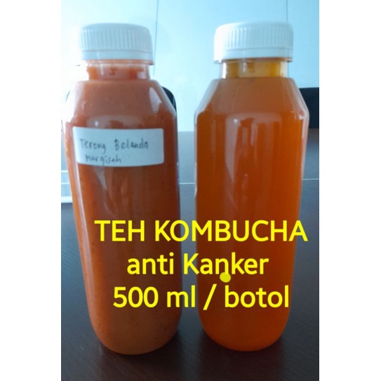 

TEH KOMBUCHA