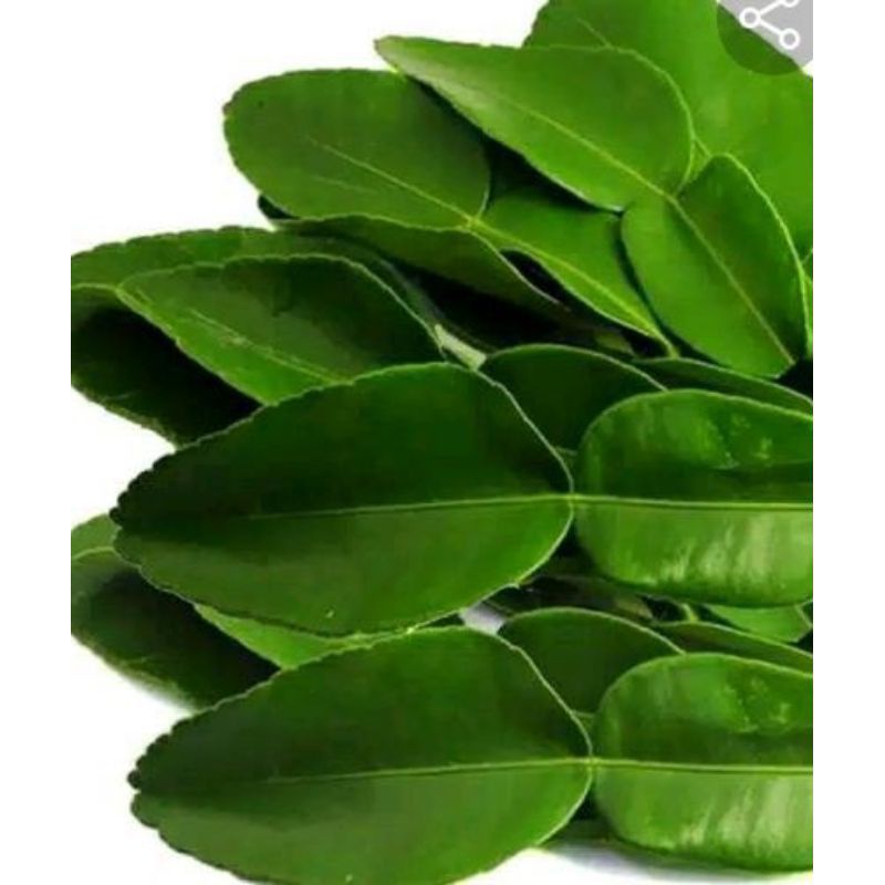 Daun jeruk bali 250grm