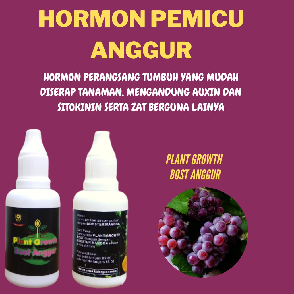 Pupuk hormon Anggur Generatif, Nutrisi perangsang buah anggur