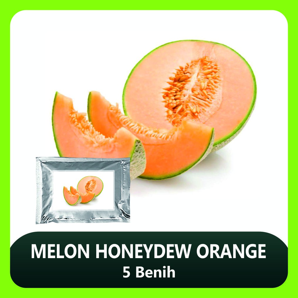 Benih Bibit Melon Honeydew Orange 5 Benih