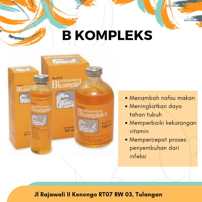 Vitamin B Kompleks Injeksi - Obat Vitamin Kelinci - Vitamin B Komplek Hewan