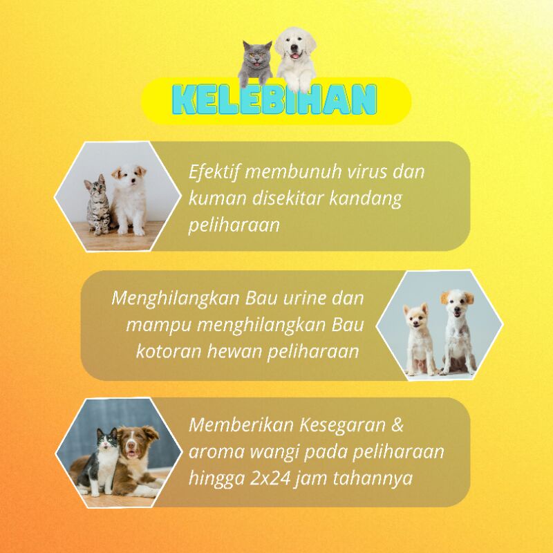 (PET OD0R) spray penghilang bau pesing kotoran hewan kucing anjing kelinci antibakteri penghilang bau pesing urin Penghilang Bau Pesing Pipis BAB Kelinci Kucing Anjing Pewangi Kandang Penghilang Bau Kencing Kucing Anjing 250ML / Pet Odor