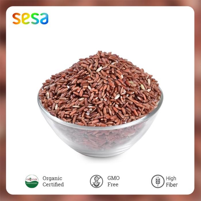 

Bionic Farm Beras Merah Organic 2 kg Best Seller