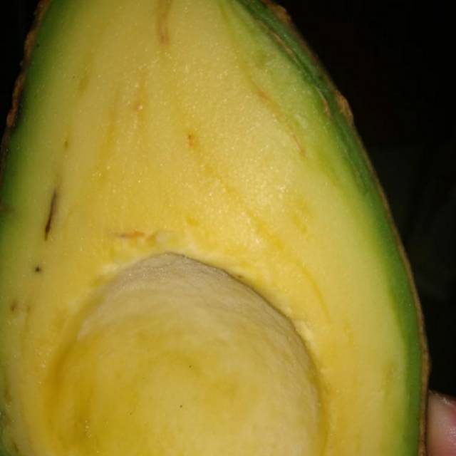 

Alpukat mentega