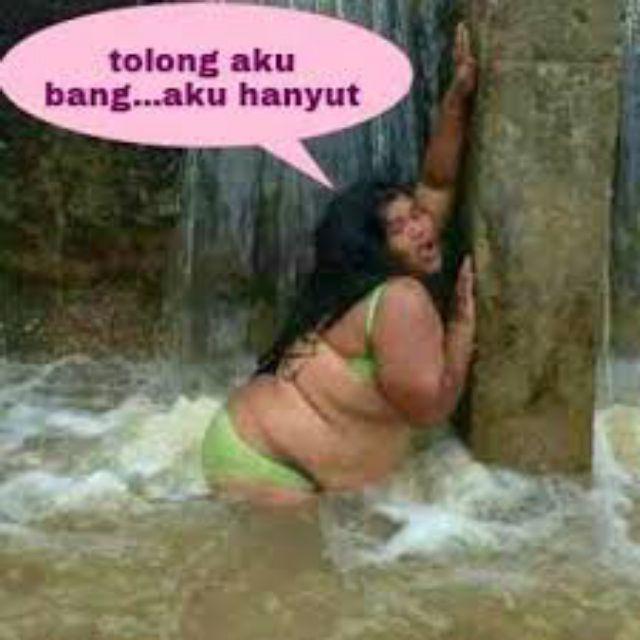 Termurah/ Paling Murah Pakettt 3batang Bibit Tanaman Buah Alpukat Lam Hass