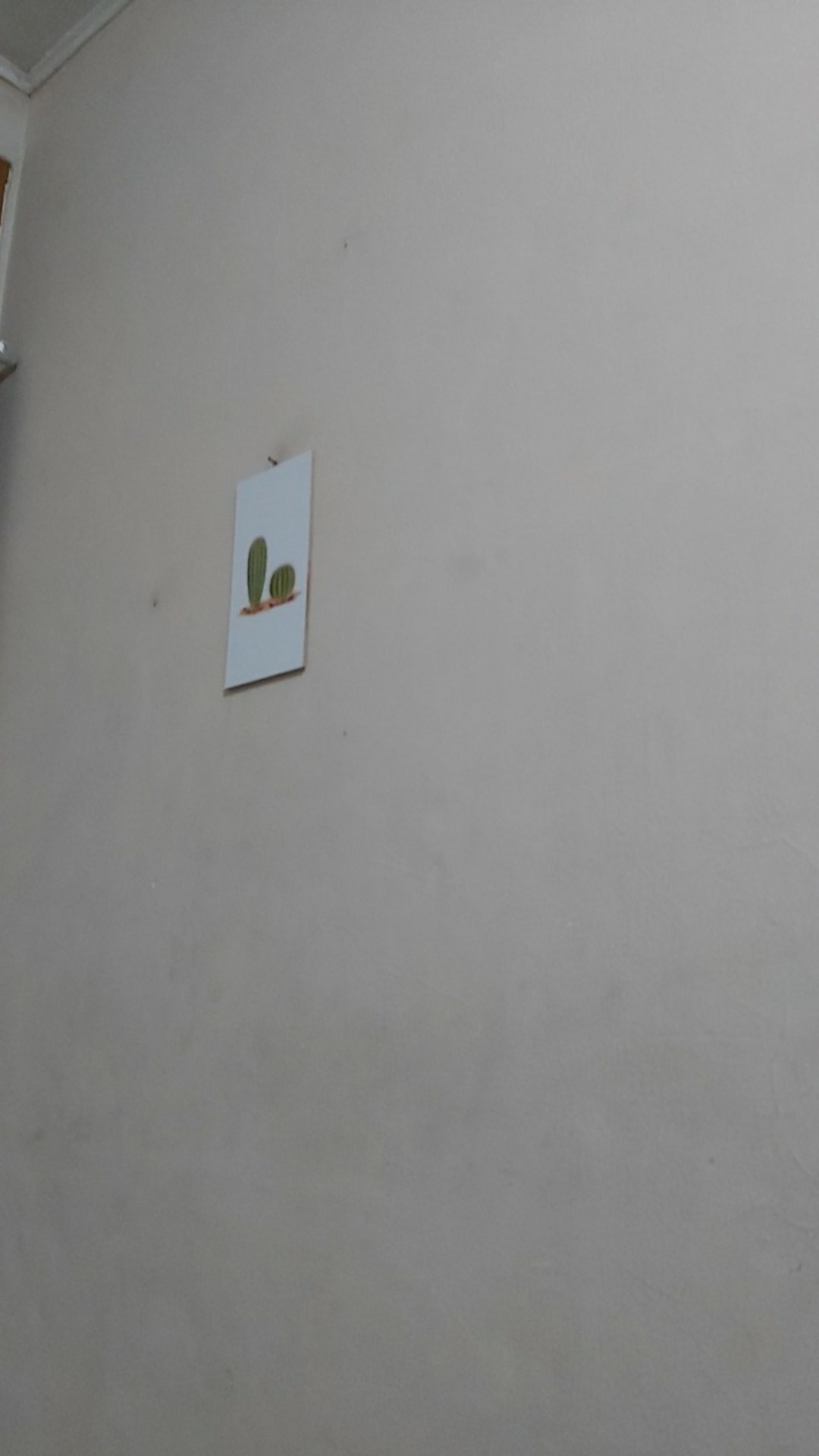 Hiasan Dinding Dekorasi Rumah Kamar Tropical Kaktus Leaf